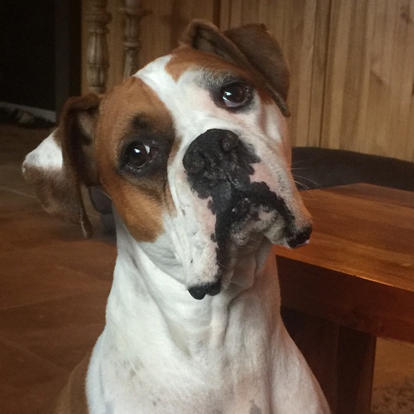 Meet your Posher, Felicia - Picture 1 of 1